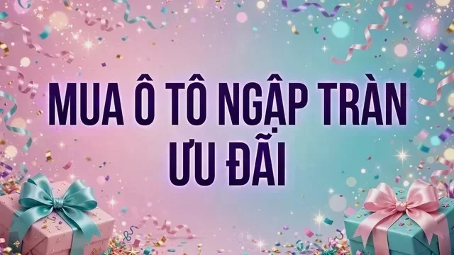 Địa điểm hỗ trợ xem xe tại Quảng Nam